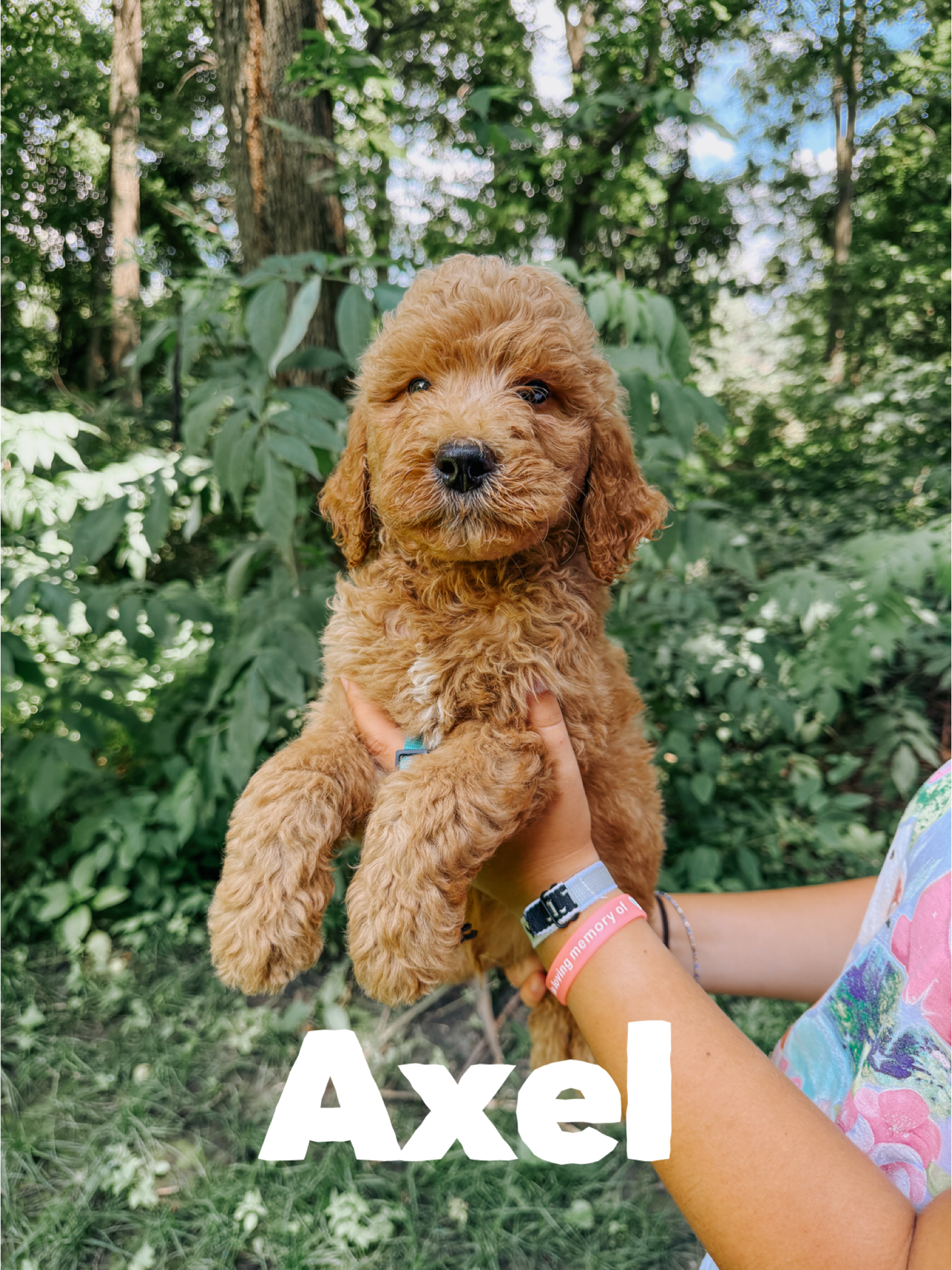 Axel 1